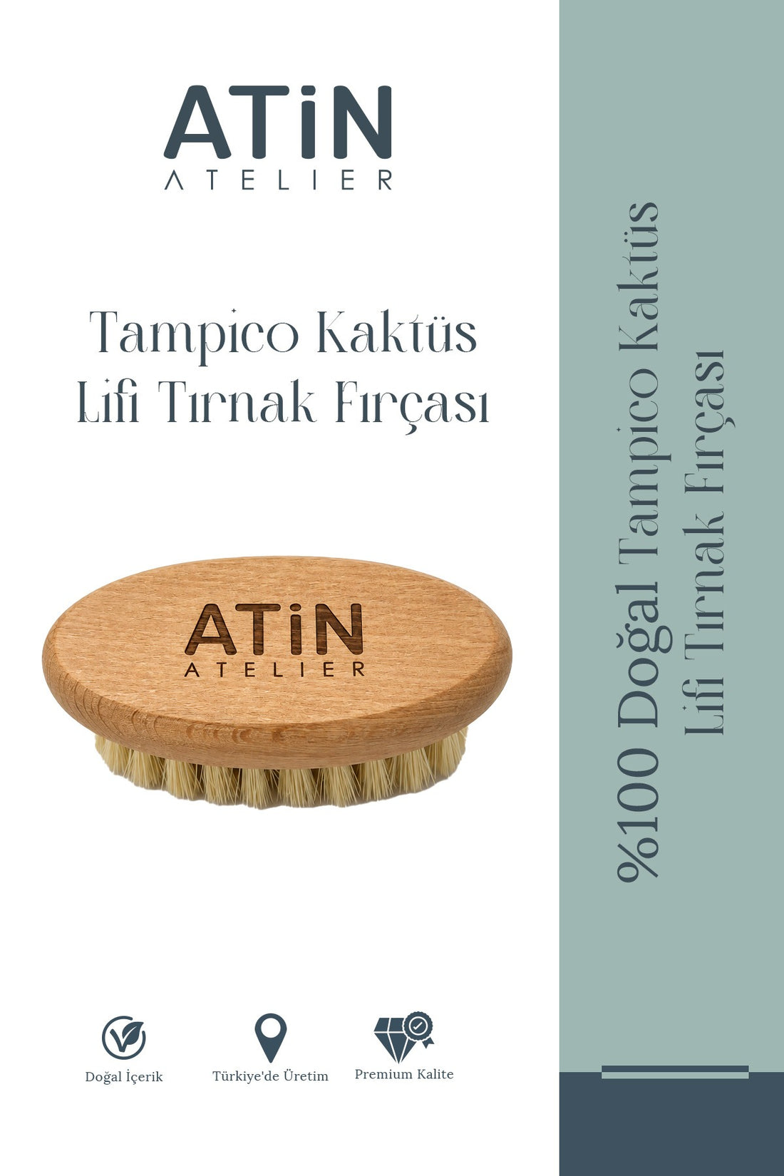 Tampico Kaktüs Lifi Tırnak Fırçası